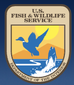 u-s-fish-wildlife-service